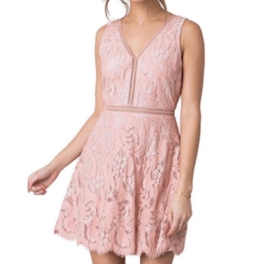 Black Swan Pink Sleeveless V-Neck Mini Dress